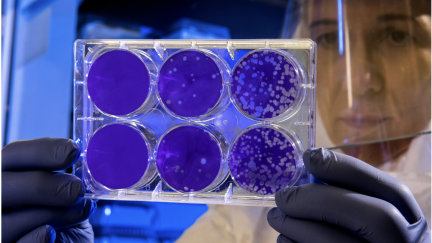Mapeamento do genoma das células-tronco orais abre novos horizontes para a medicina regenerativa