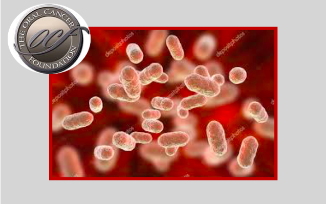 Proteína desempenha papel fundamental na infeção por patogénico oral
