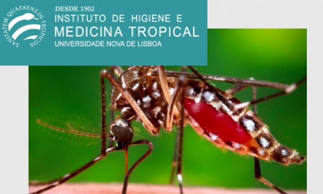 Instituto de Higiene e Medicina Tropical publica dossiê sobre o vírus Zika